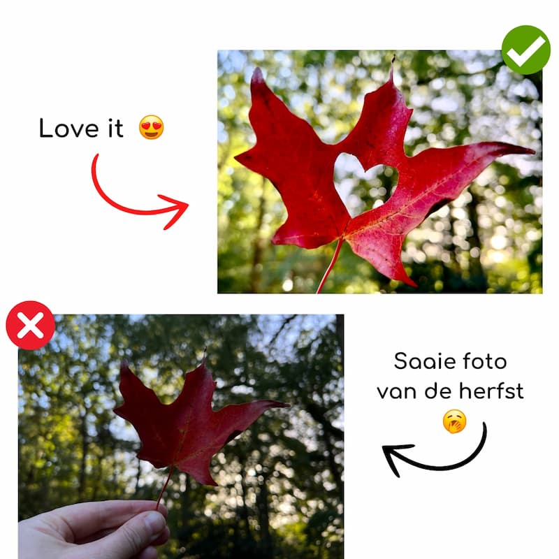 Herfst fotografie met je smartphone camera