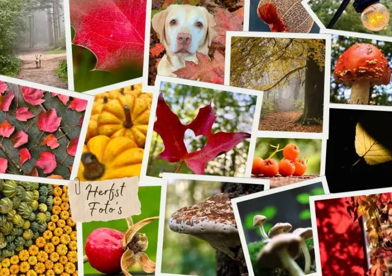 herfst fotografie tips