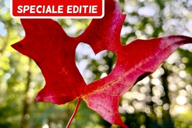 herfst fotografie cursus
